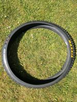 MAXXIS Minion DHF 29x2.50 Wt EXO TR Nordrhein-Westfalen - Warburg Vorschau