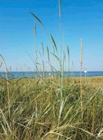 Nordseeküste Ferienwohnung Friesland Wangerland Minsen Nordrhein-Westfalen - Emsdetten Vorschau