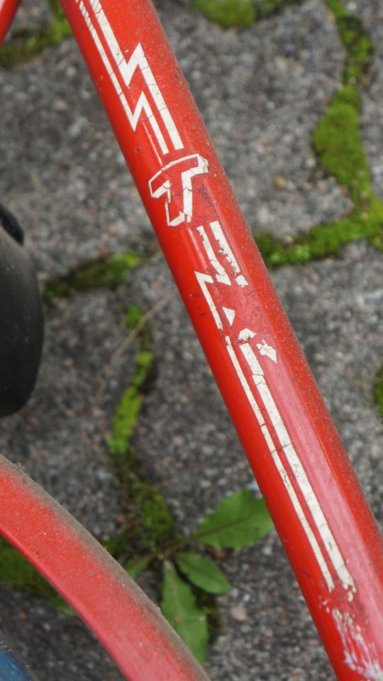 Vintage rostiges Rennrad rot TORPEDO Sporting 10-Gang in Nienborstel