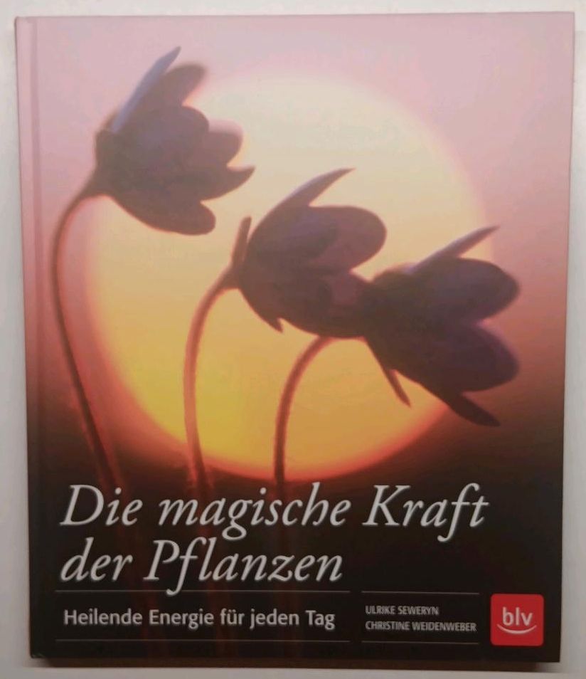 Die magische Kraft der Pflanzen: Heilende Energie für jeden Tag in Neubrandenburg
