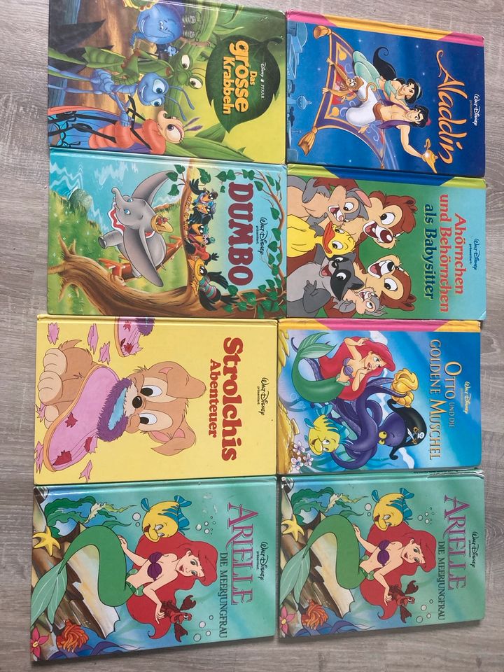 Bilderbücher u.a. Disney in Langquaid