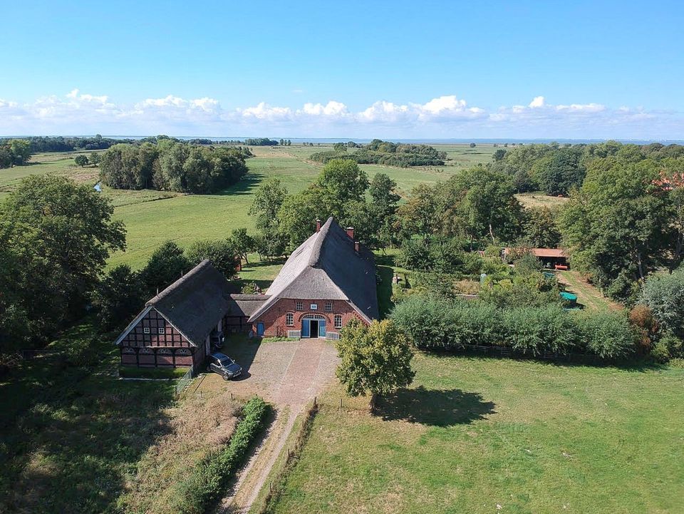 Historischer Landsitz unter Reet am Jadebusen / Nordsee in Stadland