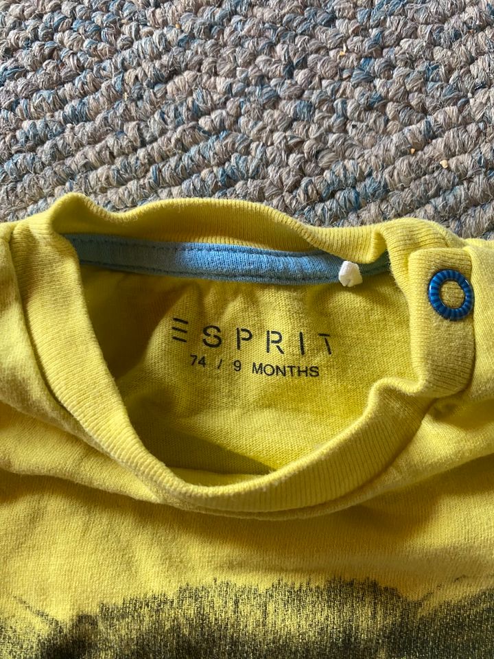 Esprit Langarmshirt Größe 74 in Maitenbeth