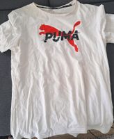 Puma Shirt Sachsen-Anhalt - Halle Vorschau