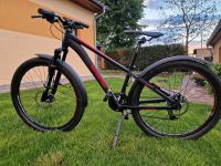 Schickes Mountainbike schwarz/rot Sachsen - Königsbrück Vorschau