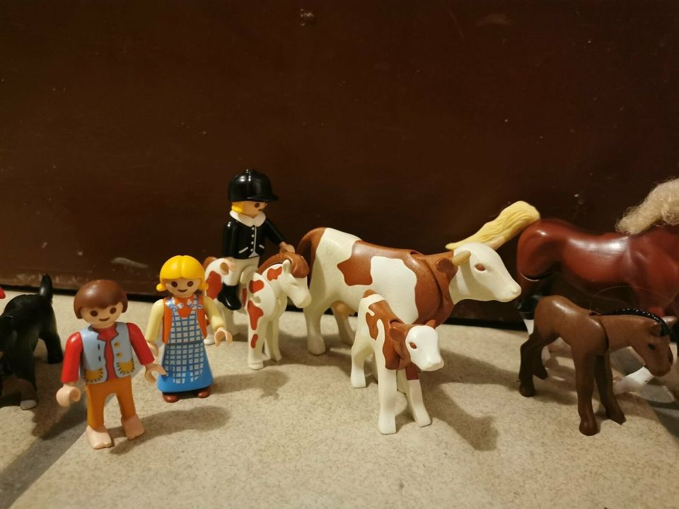 Playmobil viele Bauern mit vielen Tieren in Extertal