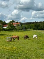 Pferdebox, Selbstversorger frei! Tolles Gelände & Reitplatz Baden-Württemberg - Münsingen Vorschau