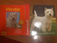 Highland White Terrier und Westie GU Ratgeber + Hunde Welpen DVD+ Baden-Württemberg - Sinsheim Vorschau