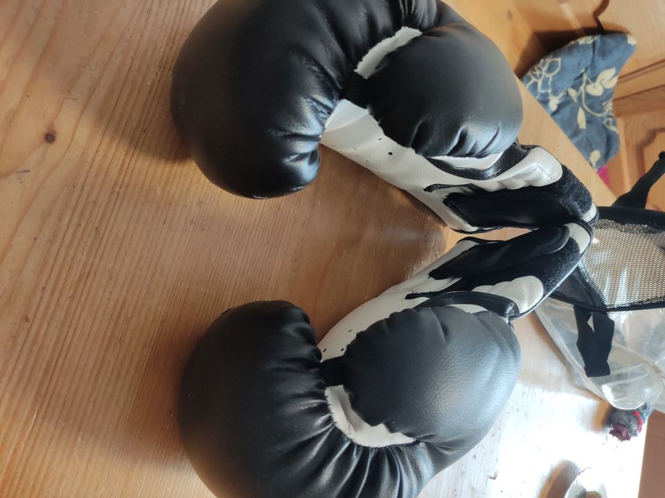 Boxsack Boxen Sport in Aschersleben