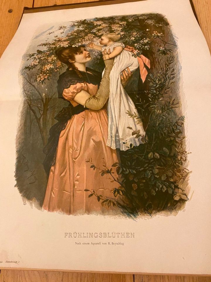 Die Gartenlaube. Illustrirtes Familienblatt (Jahrgang 1893) in Köln