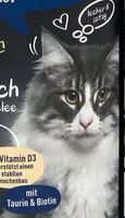 Junger Langhaar-Freigänger-Kater Tom Cruise vermisst Lachendorf Niedersachsen - Lachendorf Vorschau