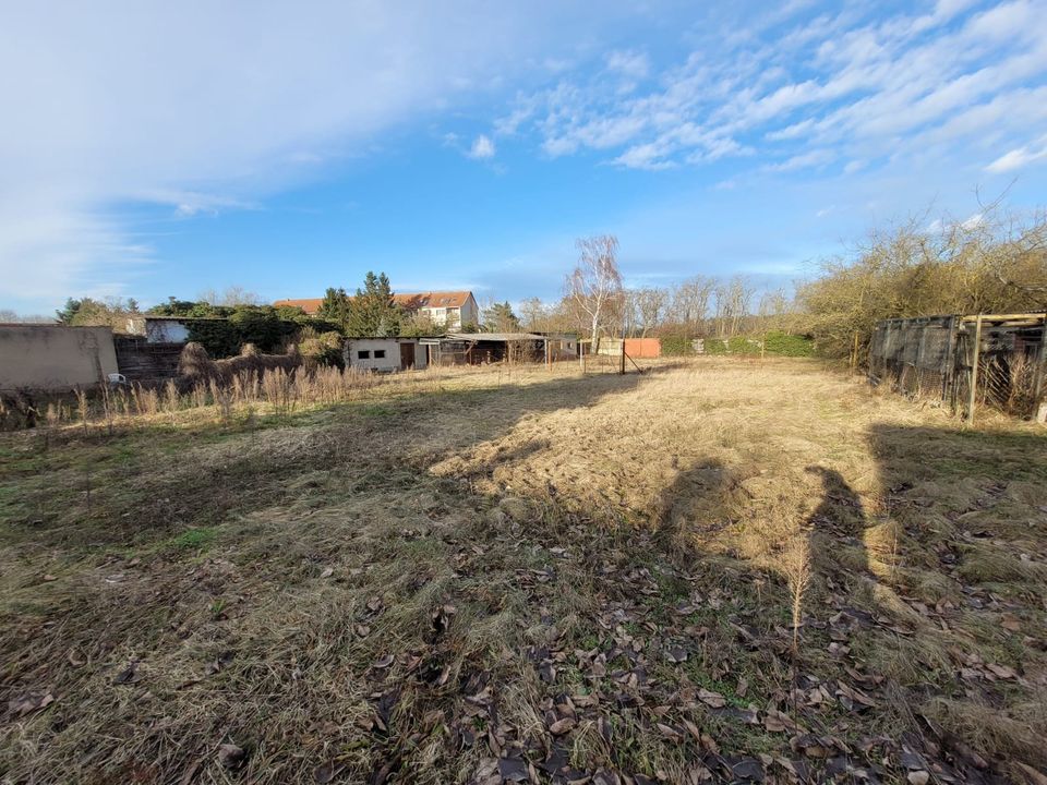 Einfamilienhaus mit großzügigem Grundstück und Nebengebäuden in Jerichow in Jerichow