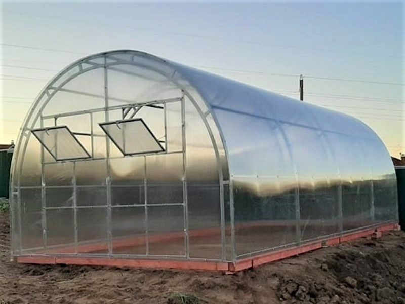 Gewächshaus 4x4 m (bis 4x20 m)  Frieda, 6 - 10 mm Polycarbonat in Klein Rogahn