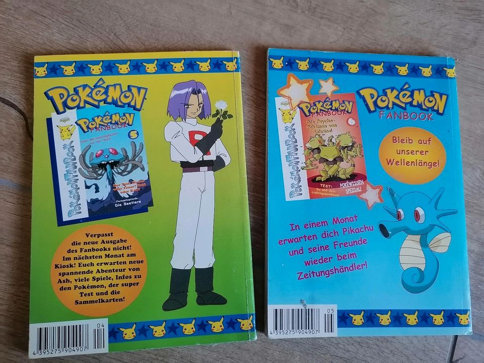 Pokemon/Pokémon Fanbooks 4 und 5 in Oer-Erkenschwick