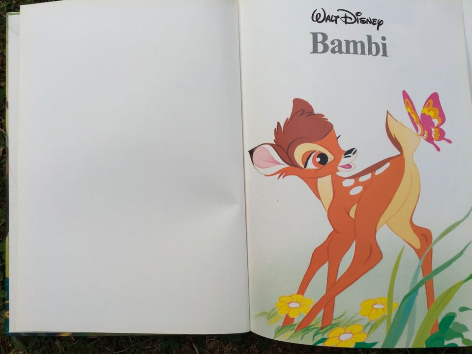 Buch Bambi Nils Holgersson Vintage 70er 80er TV Serie Shabby in Gallmersgarten