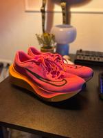 Nike Zoom Fly 5 Laufschuhe Hessen - Erbach Vorschau