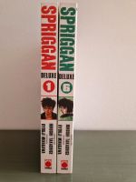 Manga Spriggan Deluxe 1+6 Nordrhein-Westfalen - Gelsenkirchen Vorschau