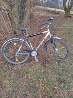 Herren City Fahrrad 28 Zoll Bayern - Rosenheim Vorschau