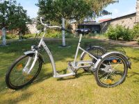 E-Bike Dreirad Tiefeinsteiger made in Germany Brandenburg - Luckenwalde Vorschau