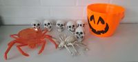 Paket  Halloween deko set Skelett Nordrhein-Westfalen - Blomberg Vorschau