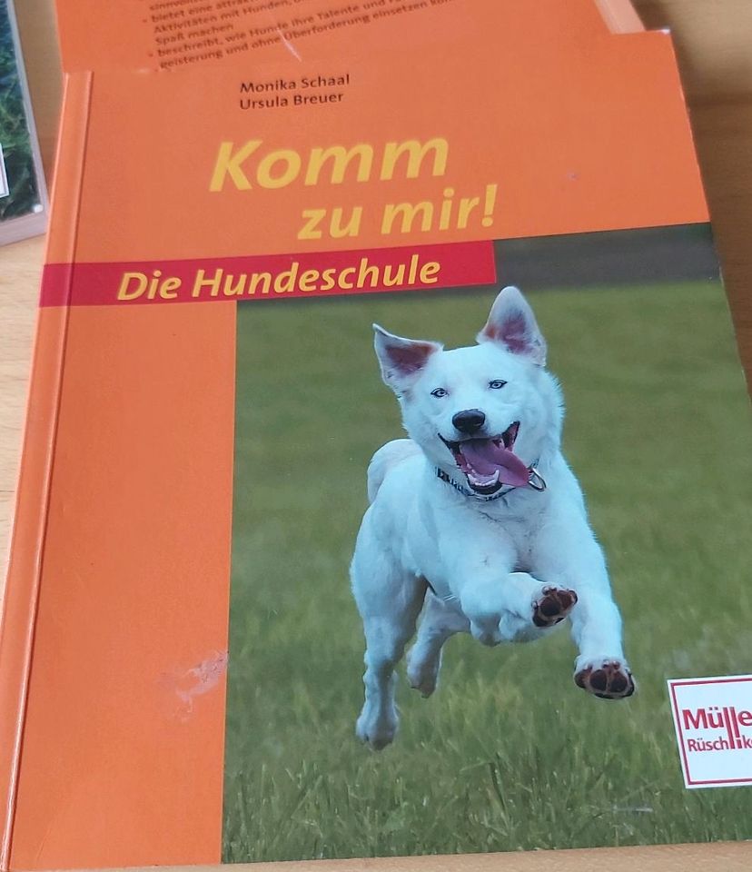 Die Hundeschule in Weil am Rhein