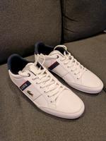 Lacoste Herren Schuhe Leipzig - Leipzig, Zentrum Vorschau