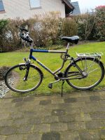 Herren Trekkingrad Giant Comfort 60 er RH, 7 Gang Shimano Niedersachsen - Wietmarschen Vorschau