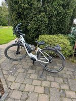 Falter E 8.2 Steps 2020 45 E-Bike Baden-Württemberg - Hechingen Vorschau