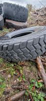 Michelin 16.00 R 25 type c Radladerreifen Nordrhein-Westfalen - Beckum Vorschau