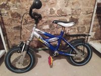 Thombike Kinderfahrrad 12 Zoll Rücktritt Leipzig - Leipzig, Südvorstadt Vorschau