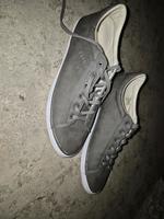 Damensneaker von Esprit Nordrhein-Westfalen - Bottrop Vorschau