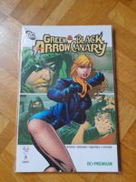 DC Premium Green Arrow & Black Canary Hessen - Raunheim Vorschau