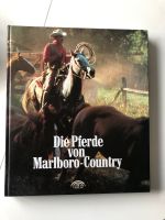 Die Pferde von Marlboro-County Western Reiten Pferd Nordrhein-Westfalen - Nettetal Vorschau