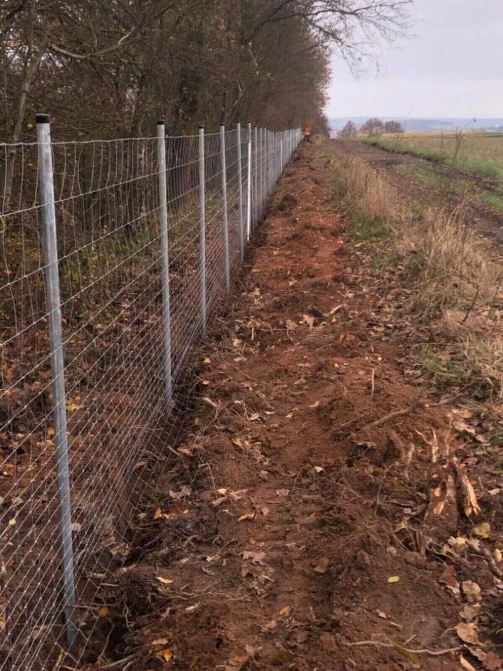 Zaunbau Zaun Doppelstab Stabgitter Wildschutz Amphibienzaun in Groß-Umstadt