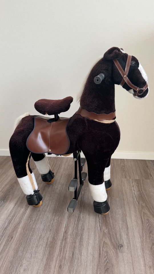 Reitpferd für Kinder in Bevern