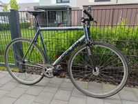 Dolan Pre-Cursa Singlespeed Fixie RH58 Brandenburg - Nauen Vorschau