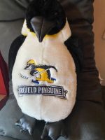 Krefeld Pinguine Maskottchen KEVIN Nordrhein-Westfalen - Brüggen Vorschau