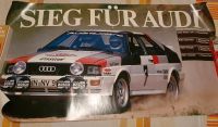 Suche Audi Motorsport Sammlerstücke aller Art - Autogramme usw. Hessen - Hüttenberg Vorschau