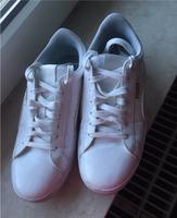 Puma Damen sneakers Rheinland-Pfalz - Speyer Vorschau