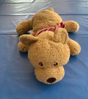 Frottee Teddy mit Halstuch/ rot gestreift/ Tcm/Tschibo/Badetier ? Niedersachsen - Osnabrück Vorschau