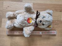 Steiff Teddybär Petsy Köln - Köln Dellbrück Vorschau