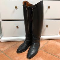 Königs Dressurstiefel Reitstiefel 42/43 H57 cm Wade 39 cm Brandenburg - Dallgow Vorschau