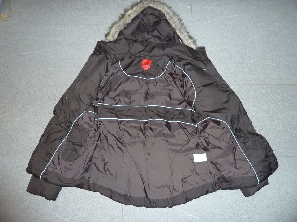 warme Esprit Daunenjacke Damen mit Kapuze Gr. M, Steppjacke in Bochum