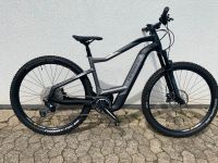 Haibike  Hard Nine 10 Niedersachsen - Giesen Vorschau