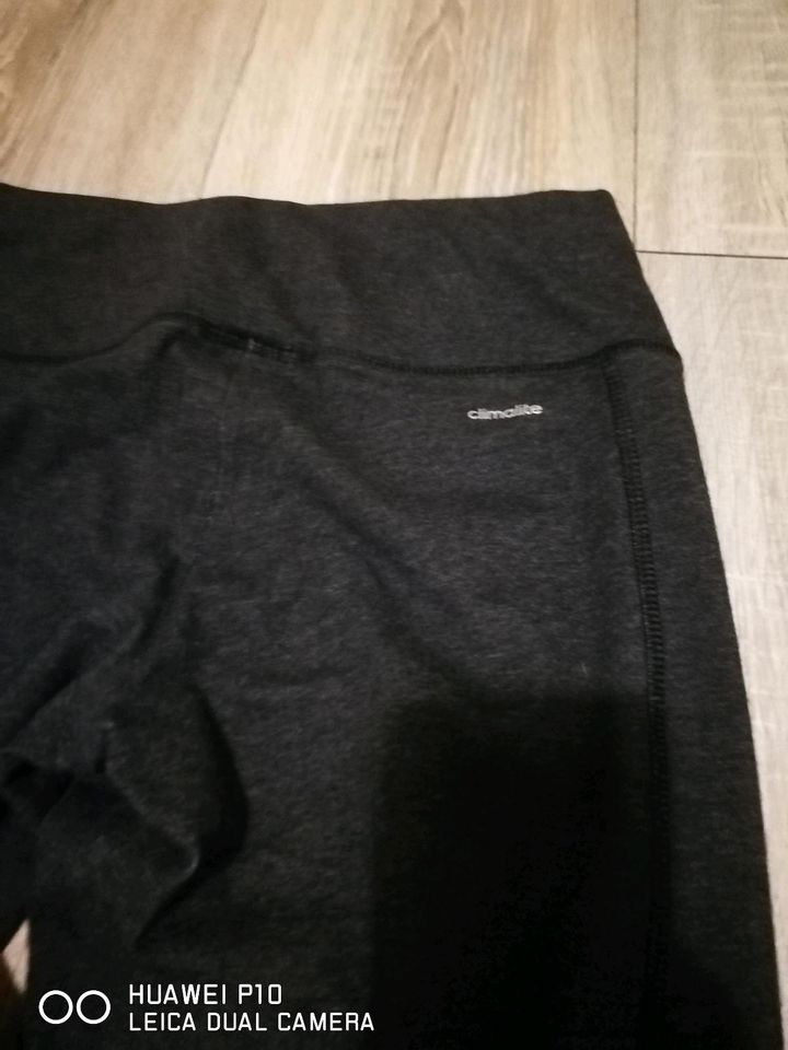 Adidas Damen Leggins Sporthose S in Hürth