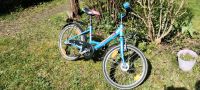 Kinderfahrrad Arcona 22" Berlin - Lichterfelde Vorschau