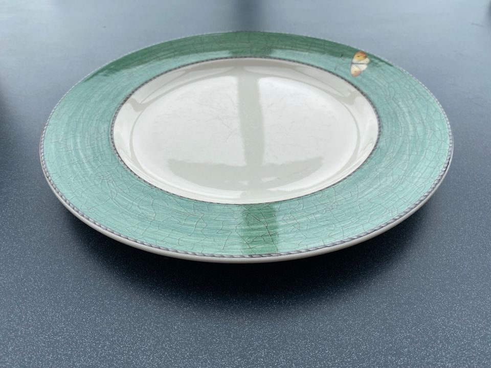 Wedgwood Speiseteller verschiedene Farben 27cm Durchmesser in Niederbergkirchen