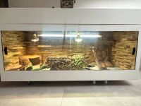 Terrarium XXL Hessen - Korbach Vorschau