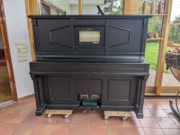 Vintage Piano (selbstspielend) Baden-Württemberg - Wangen im Allgäu Vorschau