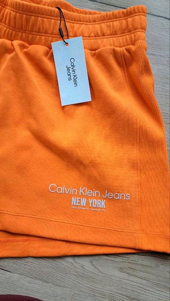 Calvin Klein Shorts 40 XL Damen Sport in Plattenburg